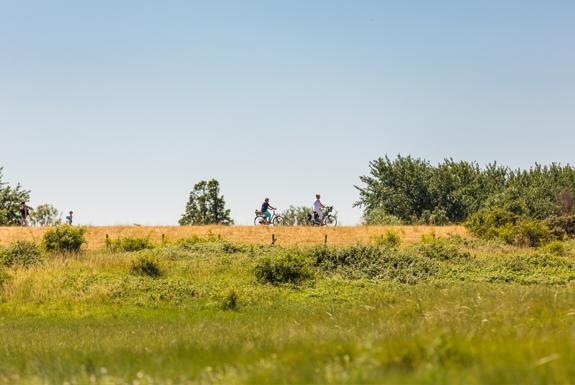 Radfahrer | Beach Resort Nieuwvliet-Bad