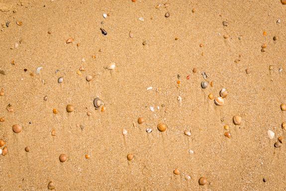 Strand | Beach Resort Nieuwvliet-Bad